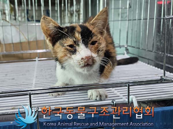 한국동물구조관리협회_411310202300567